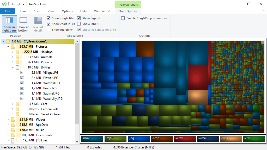 What is the purpose of the treemap in WinDirStat?